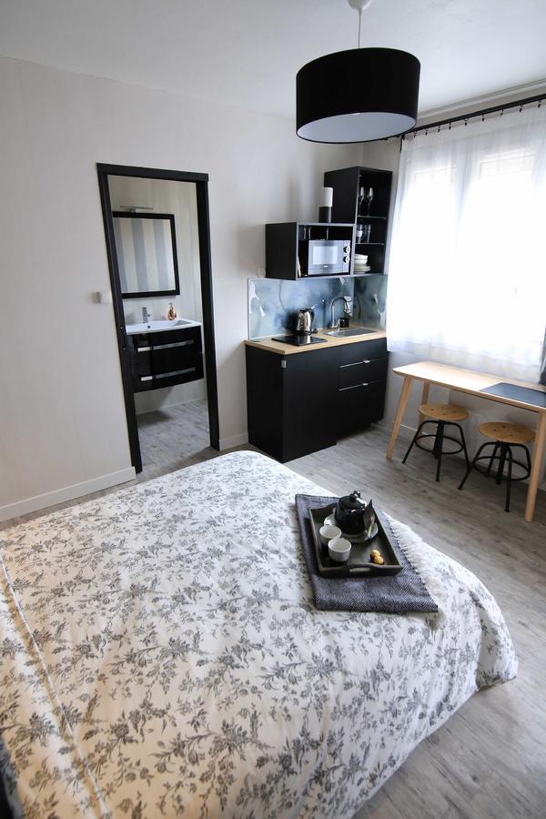 Apartamento Le Nid Bord De La Loire Orléans Exterior foto